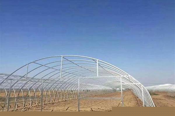 菜棚鋼管價(jià)格/a_大菜棚鋼管多少錢(qián)一個(gè)