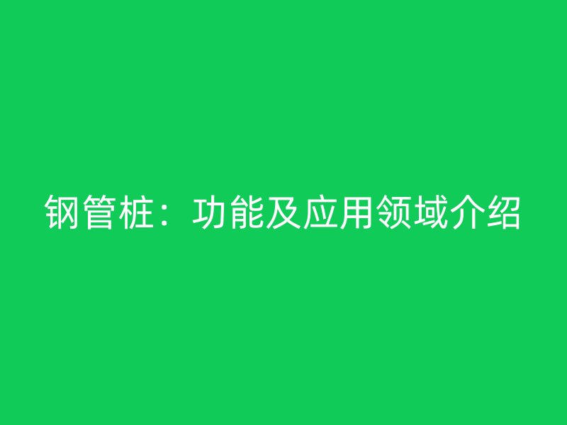 鋼管樁：功能及應(yīng)用領(lǐng)域介紹