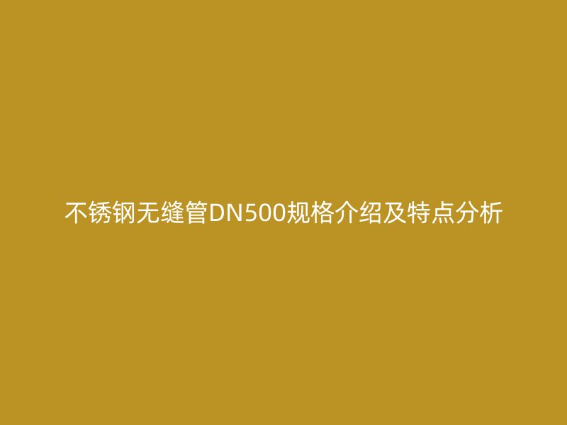 不銹鋼無(wú)縫管DN500規(guī)格介紹及特點(diǎn)分析