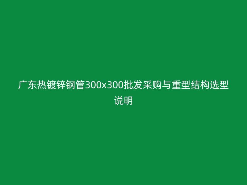 廣東熱鍍鋅鋼管300x300批發(fā)采購與重型結構選型說明