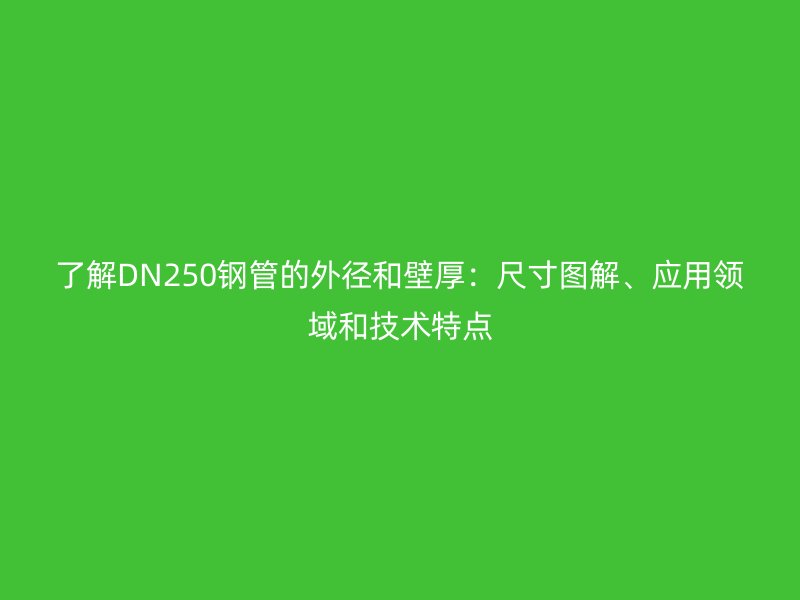 了解DN250鋼管的外徑和壁厚：尺寸圖解、應用領域和技術特點