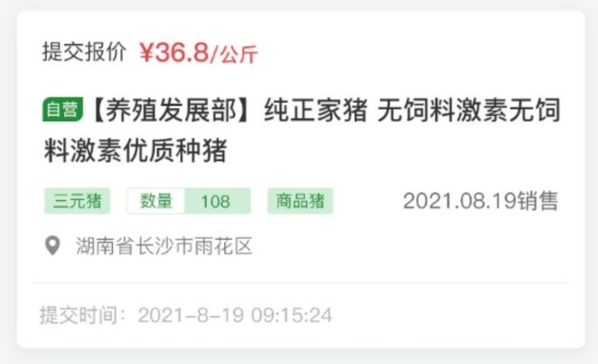 云邁科技生豬競(jìng)價(jià)系統(tǒng)：開啟生豬交易新時(shí)代?